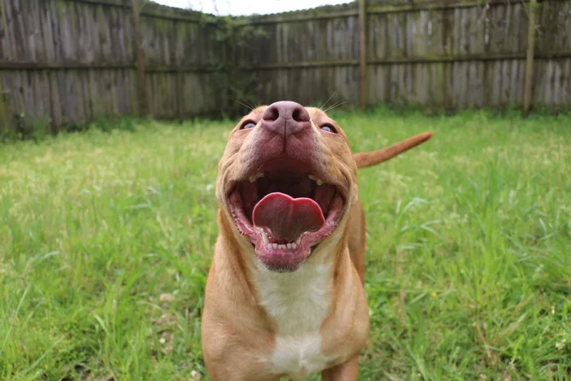 Winnie J thumbnail 2