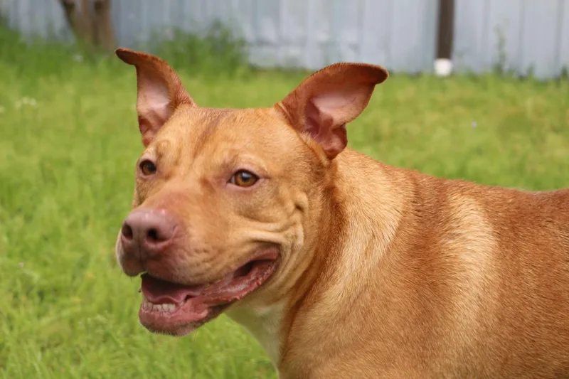 Winnie J thumbnail 3