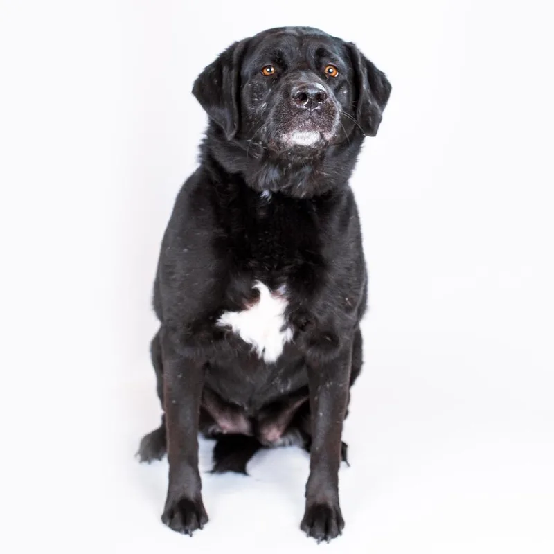 Elsa Bonded To Sky thumbnail 3