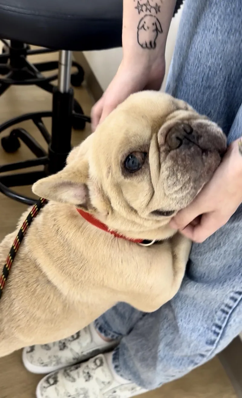 Baby Boy thumbnail 5
