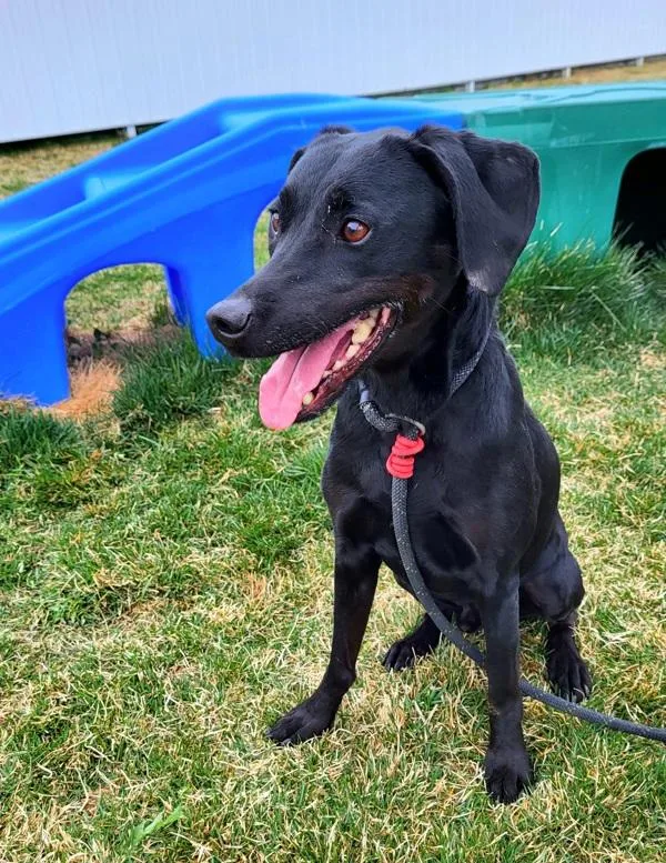 Skittles thumbnail 2