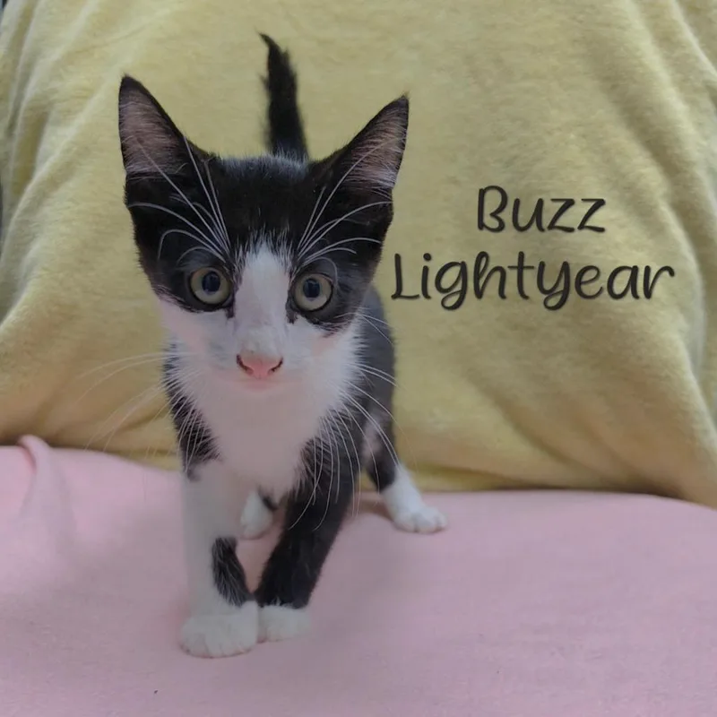 Buzz Lightyear