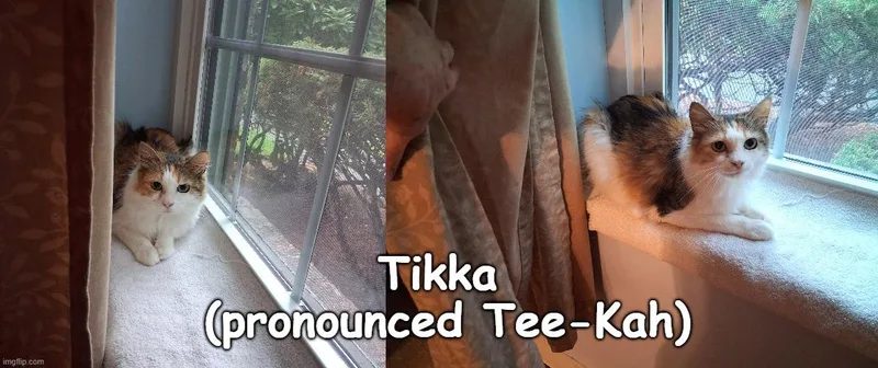 Tikka thumbnail 2