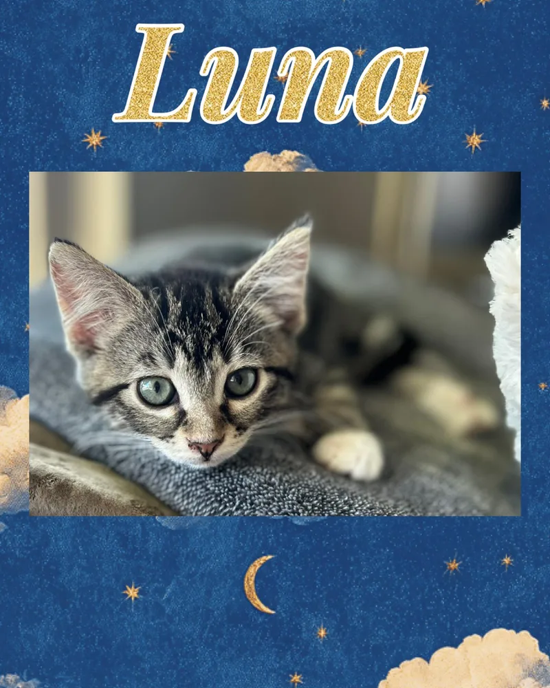 Luna