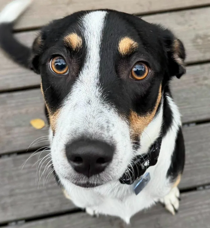 Tucker thumbnail 2