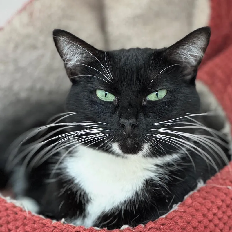 Lois Lane thumbnail 5