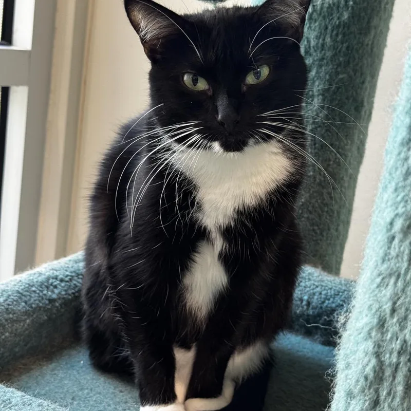 Lois Lane thumbnail 6