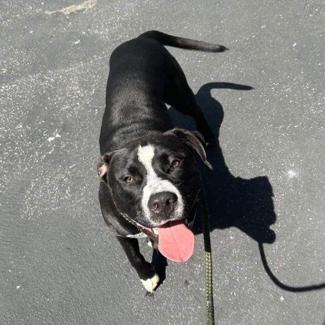 Max