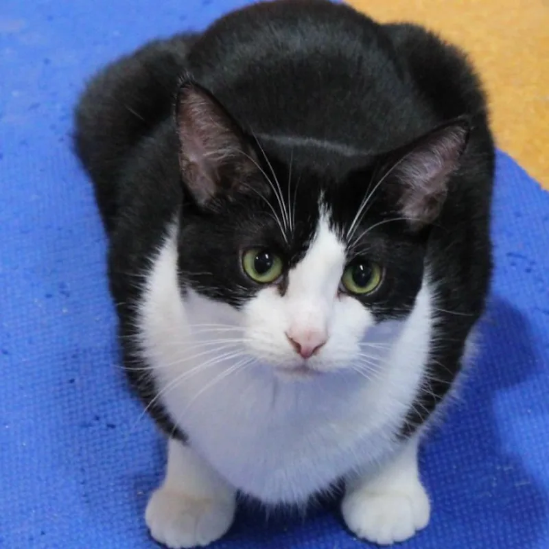 Magellan thumbnail 2