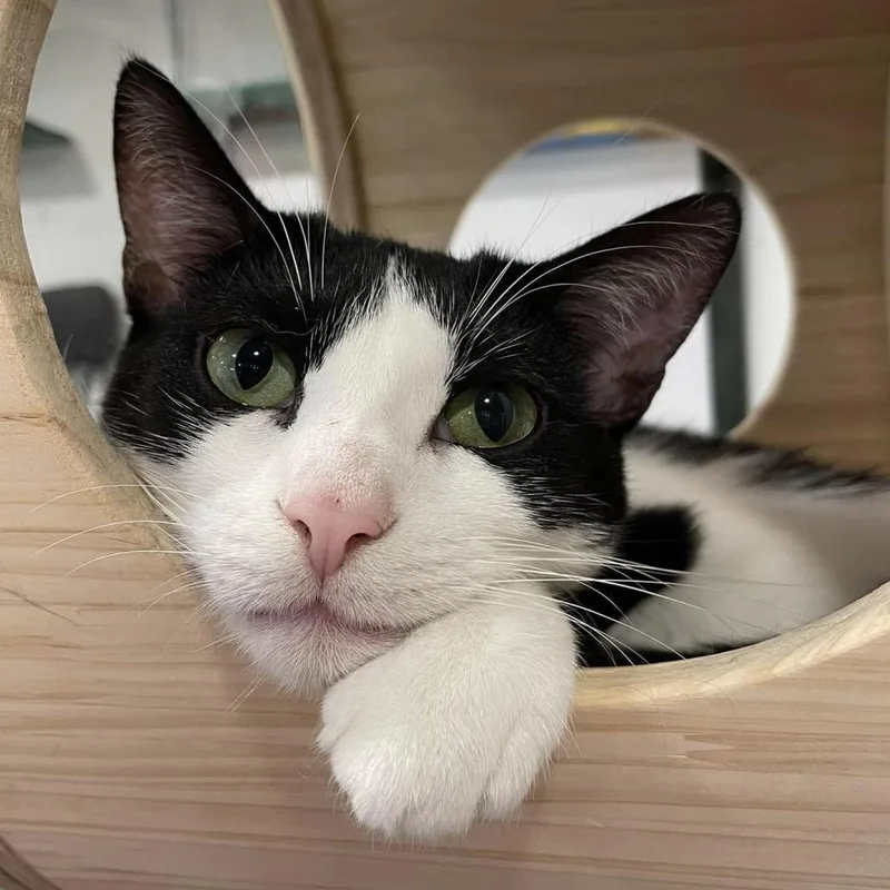 Magellan thumbnail 6