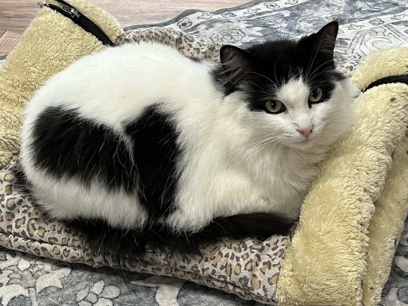 Sunshine thumbnail 2