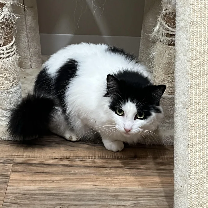 Sunshine thumbnail 3