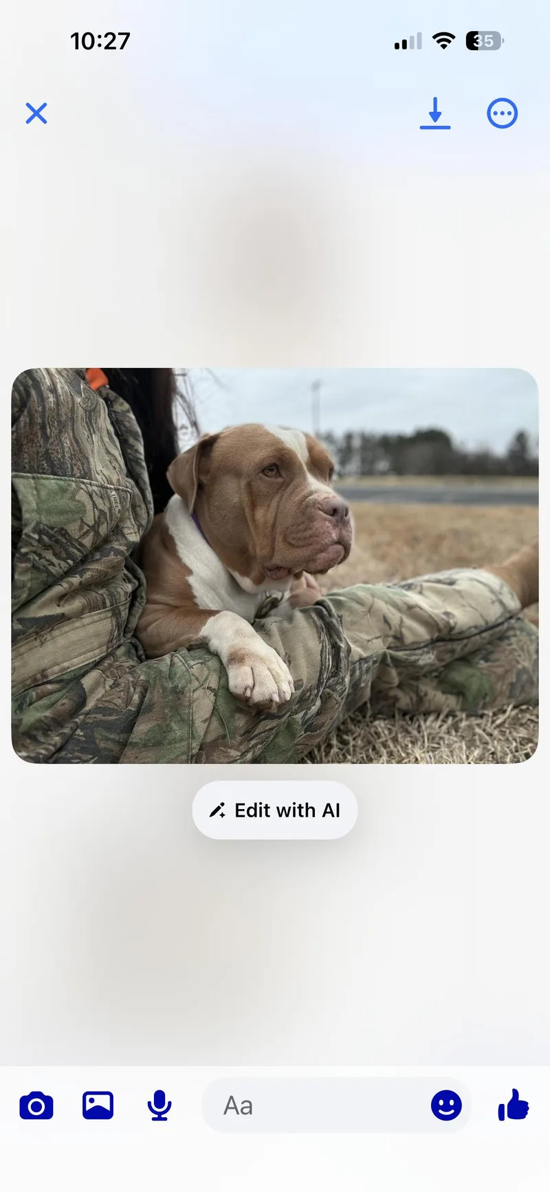 An adult large-sized female Pit Bull Terrier dog named Shirley for adoption in Mint Hill, NC