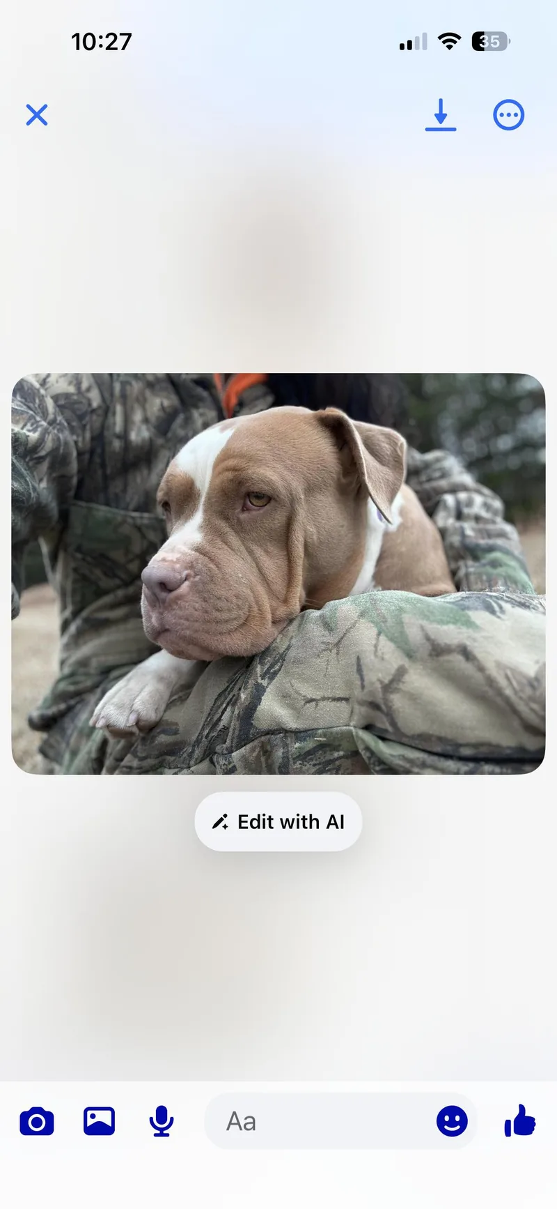 Shirley thumbnail 3