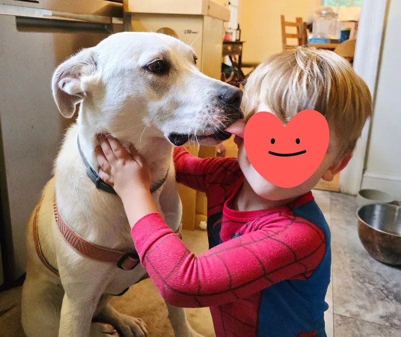 Delilah Luvs Kids! thumbnail 3