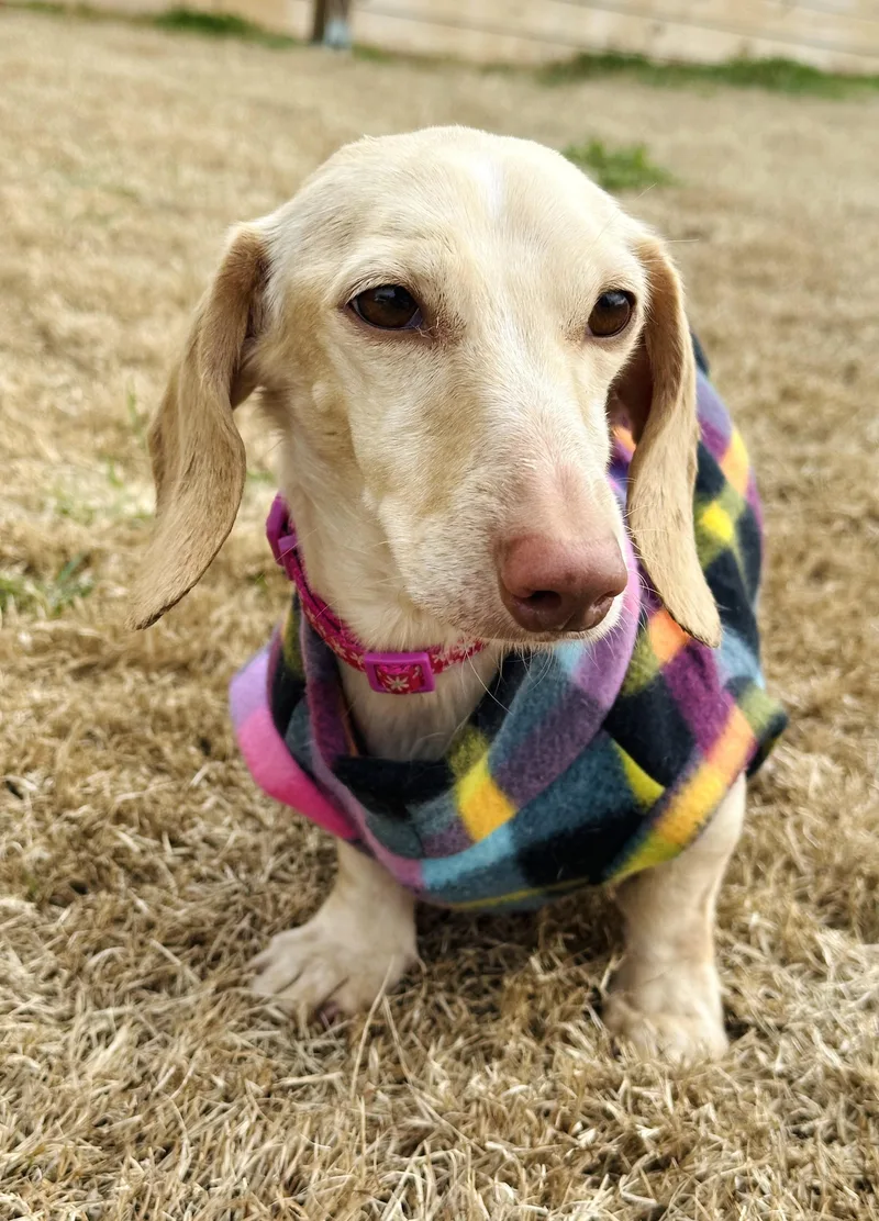 Luna in KY thumbnail 6