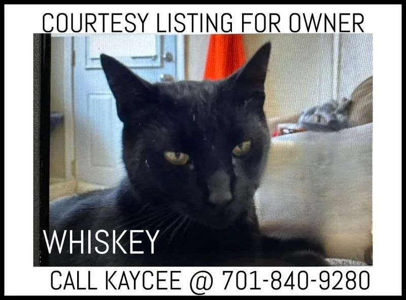Whiskey  Courtesy Listing