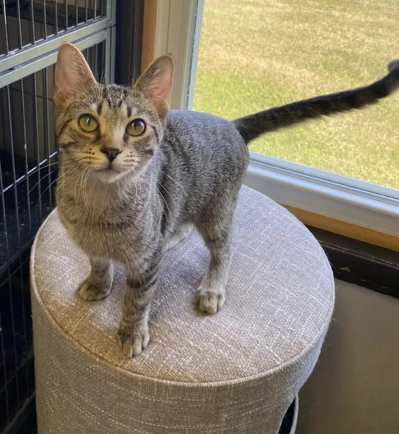 Huckle Berry thumbnail 2