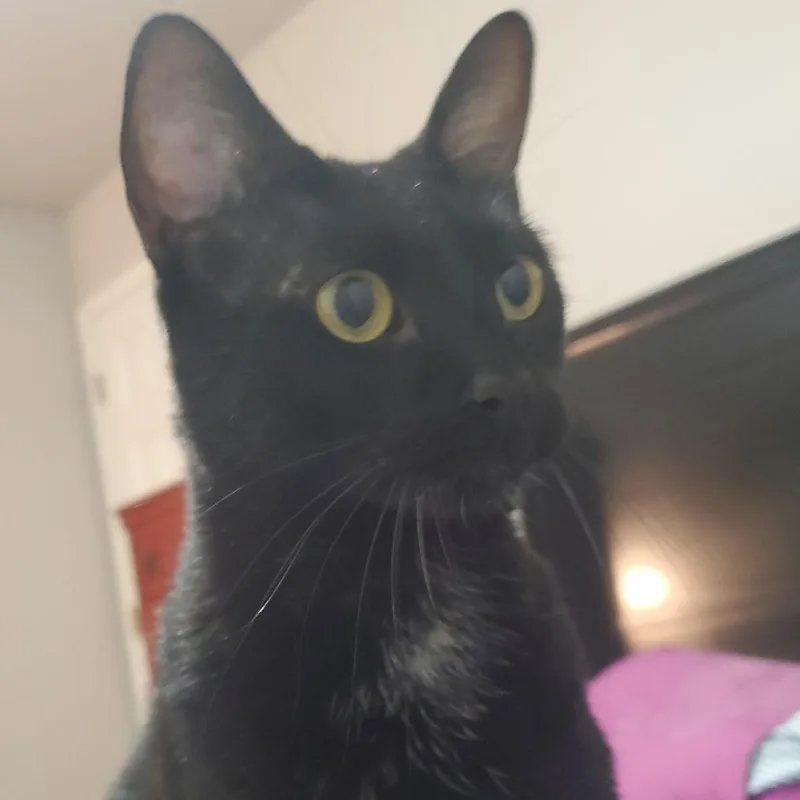 George