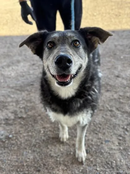 Helen