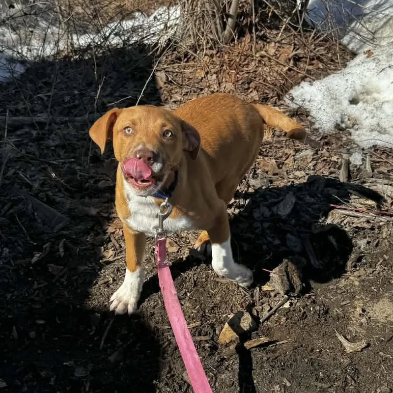 Neutron Star thumbnail 5