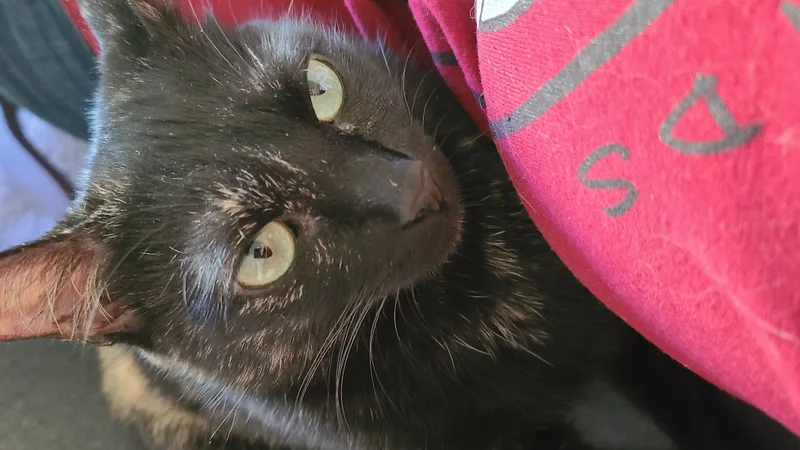 Spigot  Watkinsville  thumbnail 2