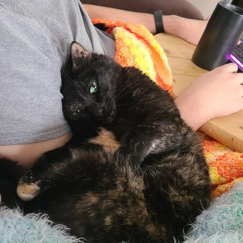 Spigot  Watkinsville 