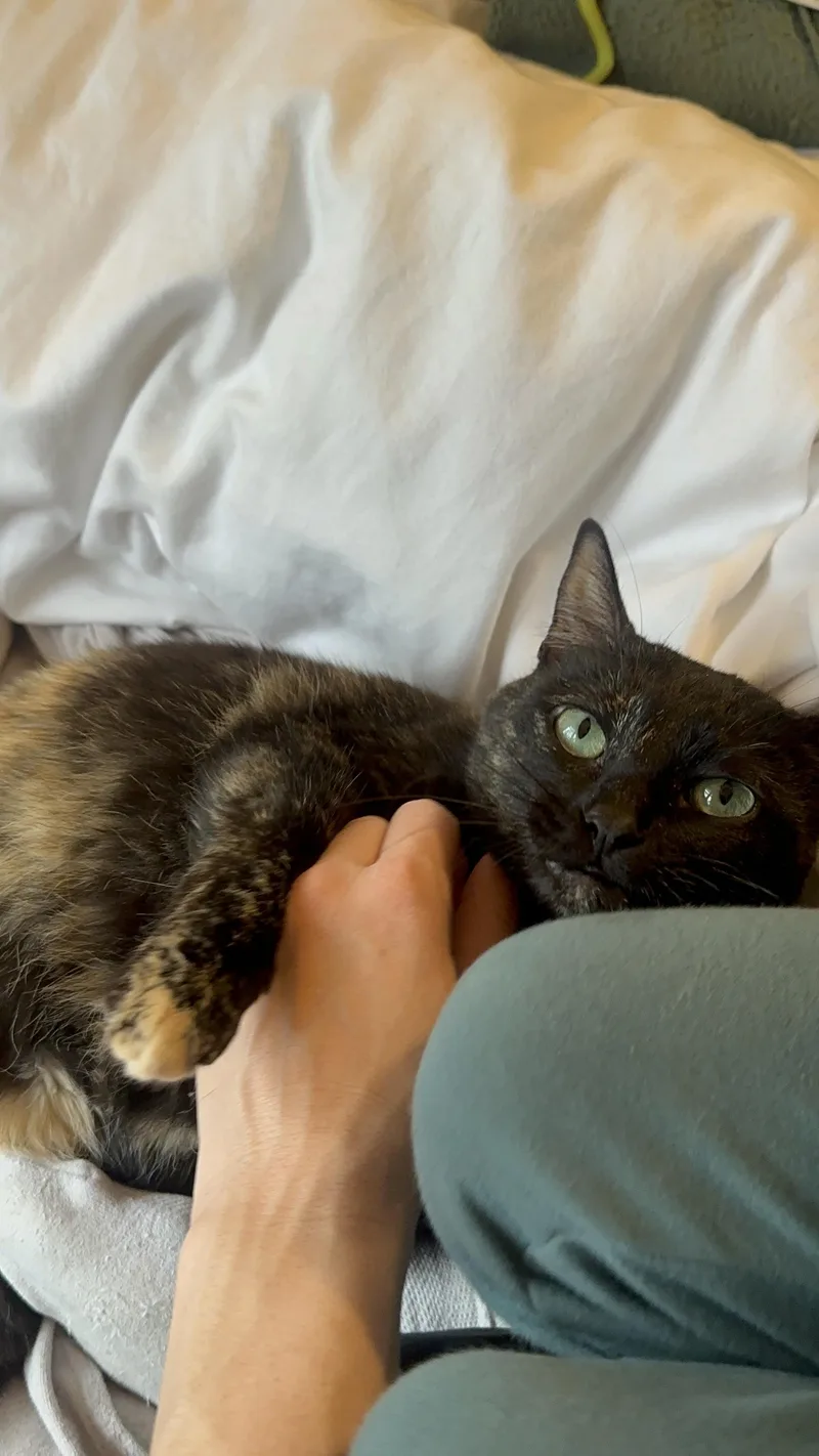 Spigot  Watkinsville  thumbnail 5