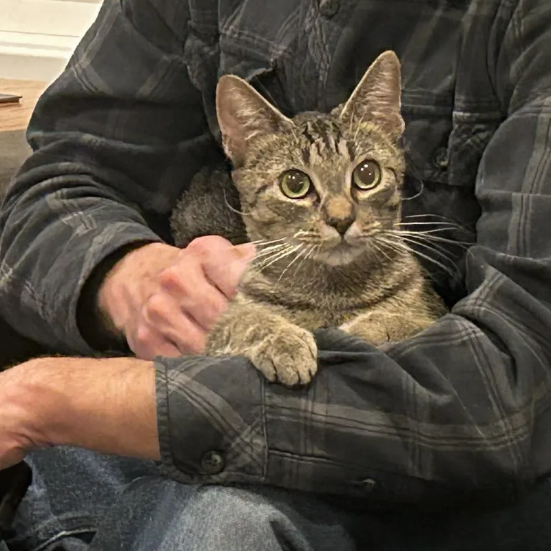 Miss Valentine thumbnail 2