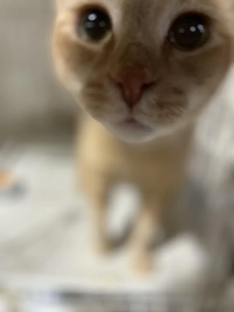 Ethel thumbnail 2