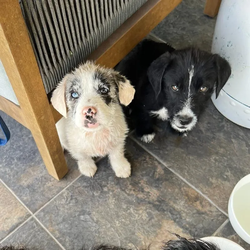 Savannah C thumbnail 2