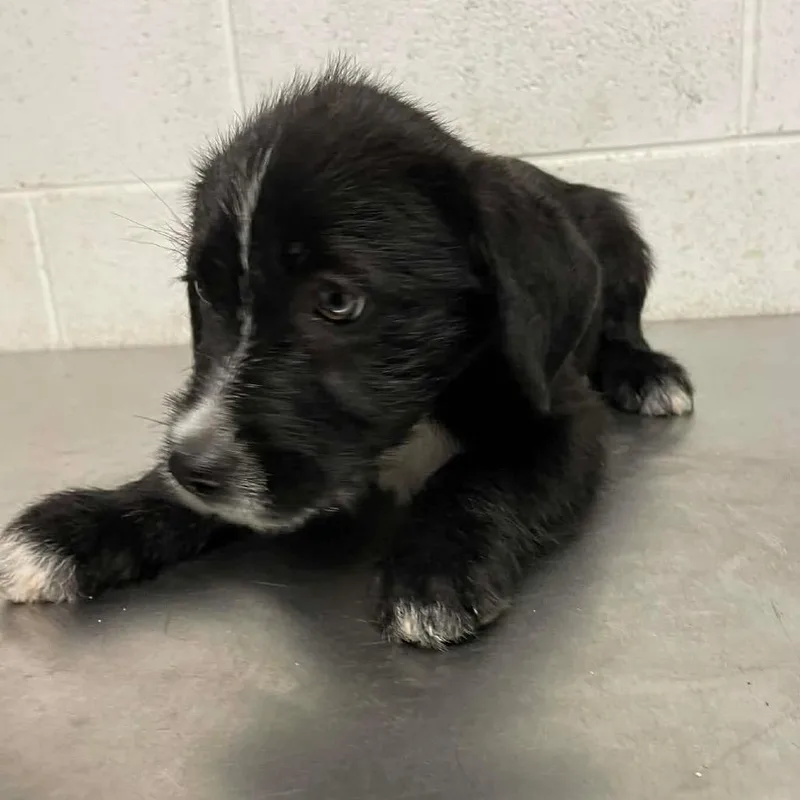 Savannah C thumbnail 3