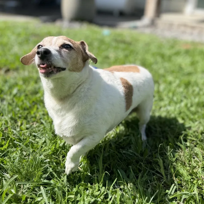 Ethel thumbnail 2