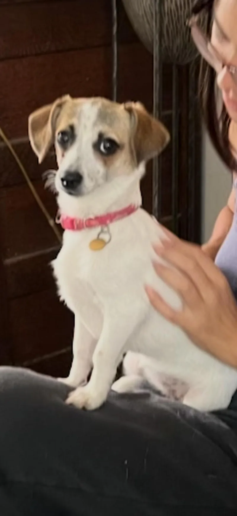 Daisy Mae thumbnail 2