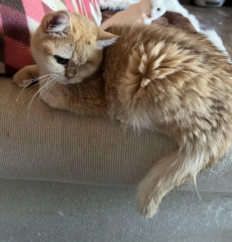 Sunshine thumbnail 2