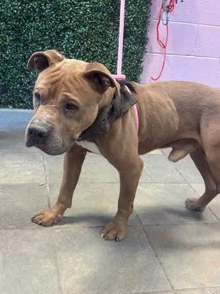 60746408 thumbnail 2