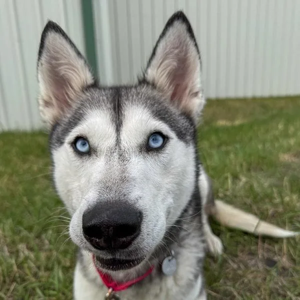 Luna