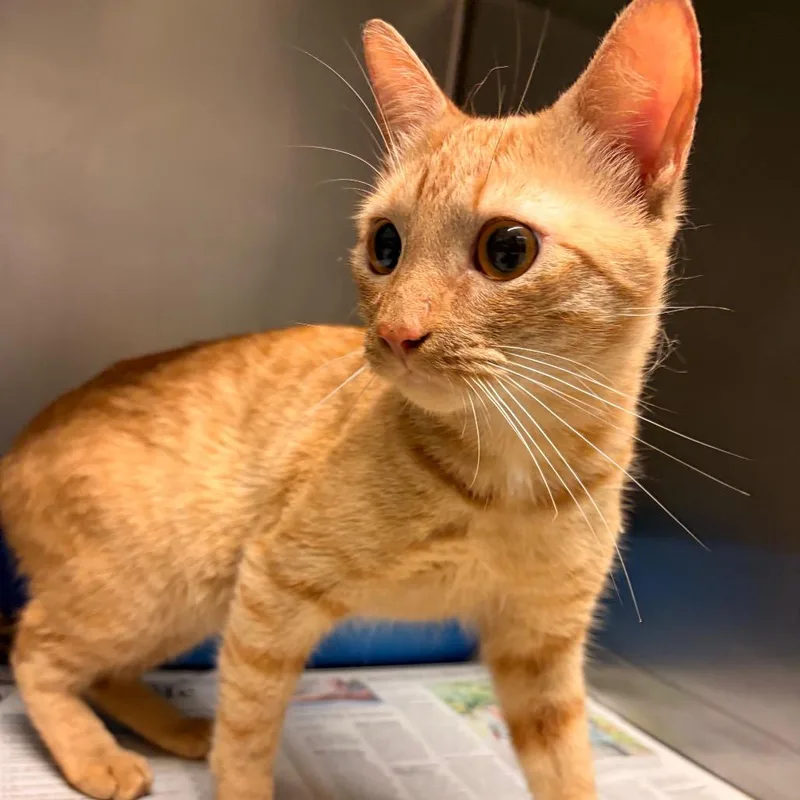 Hunter thumbnail 3