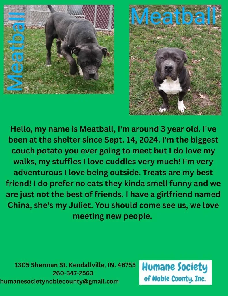 Meatball