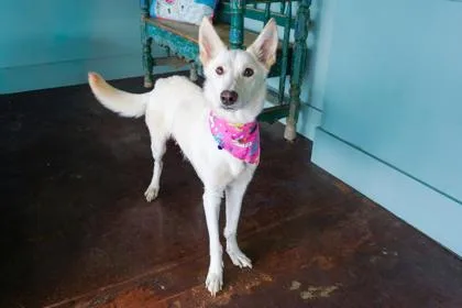 Frida