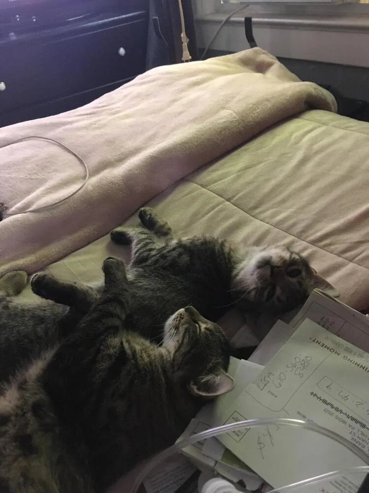 Lovey & Gillian thumbnail 2