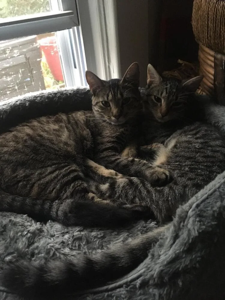 Lovey & Gillian thumbnail 3