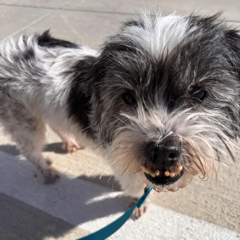 Bubba Turner thumbnail 3