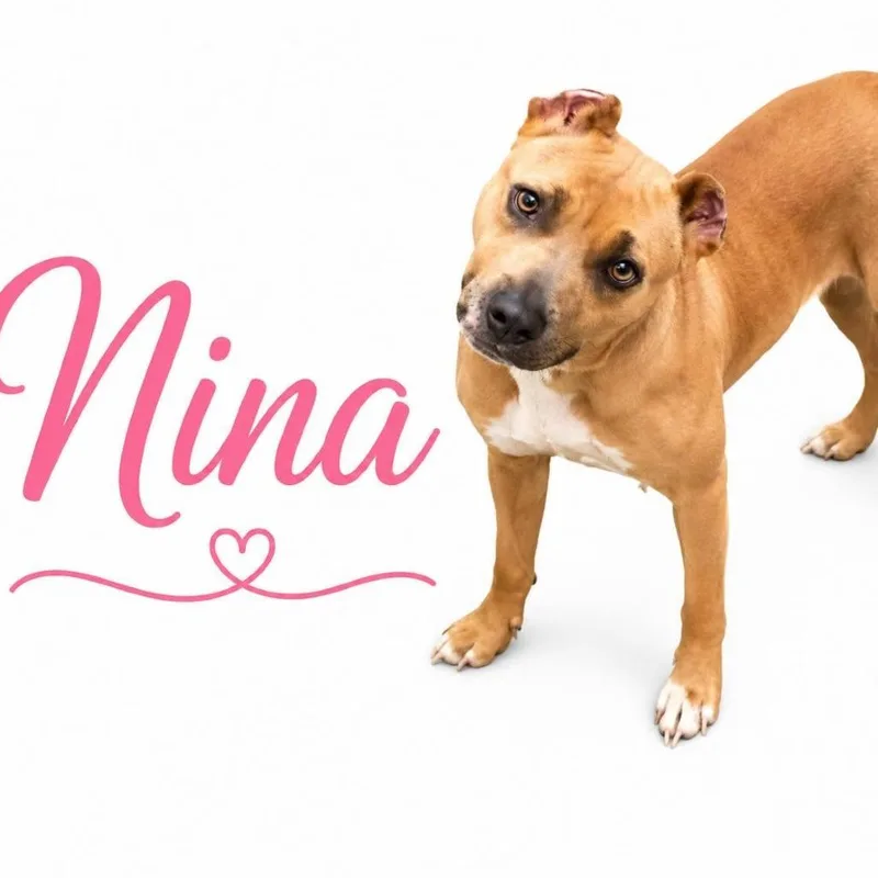 Nina thumbnail 4