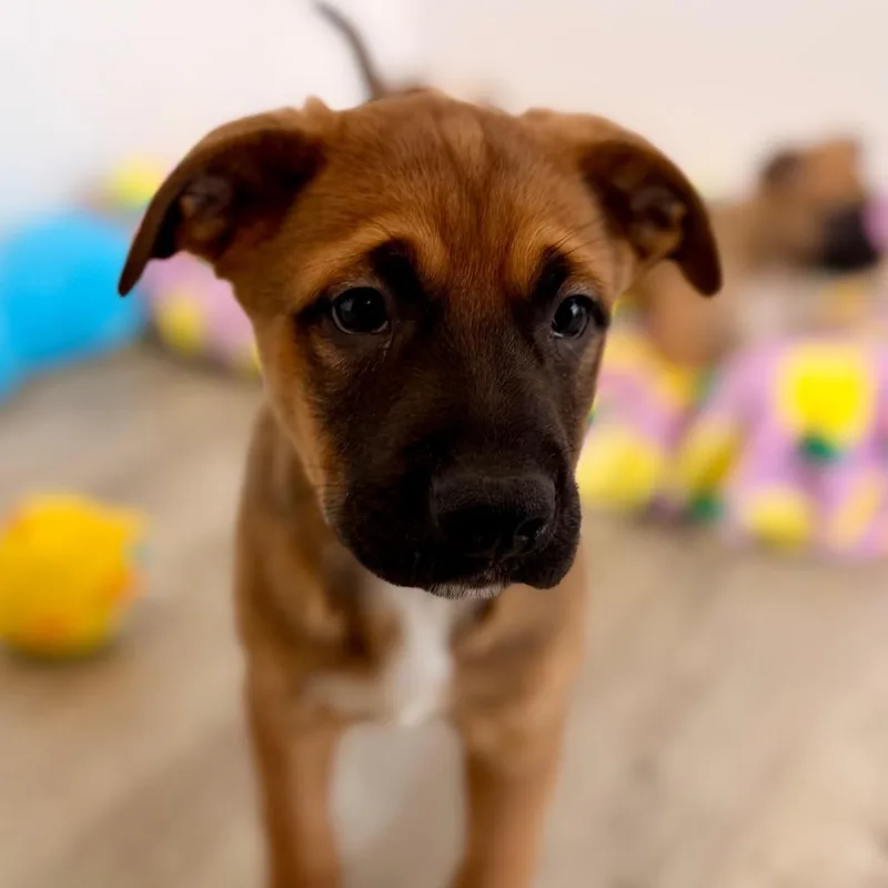 Contreras thumbnail 2