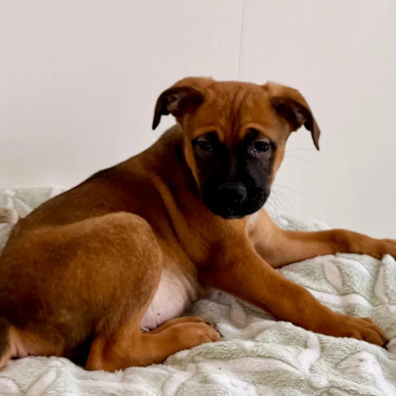 Contreras thumbnail 3