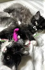 Bailey and June thumbnail 2
