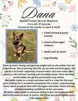 Dana thumbnail 4