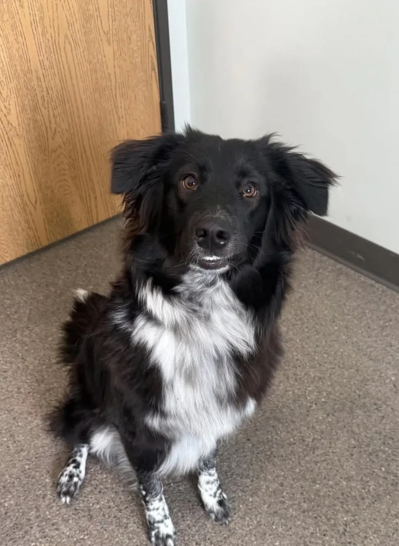 Sky Currently Enrolled In