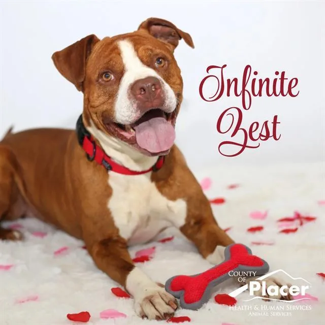 Infinite Zest thumbnail 2